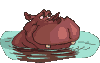 ippopotamo rana.gif